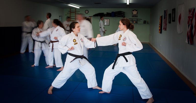 Wide view of students training together during a Kodenkan Yudanshakai class.